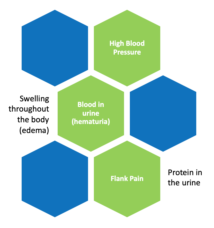 Alport Syndrome